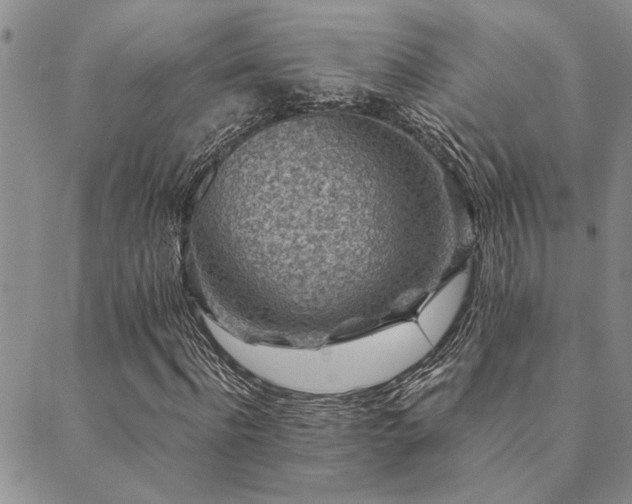 X0000089710916200706211339