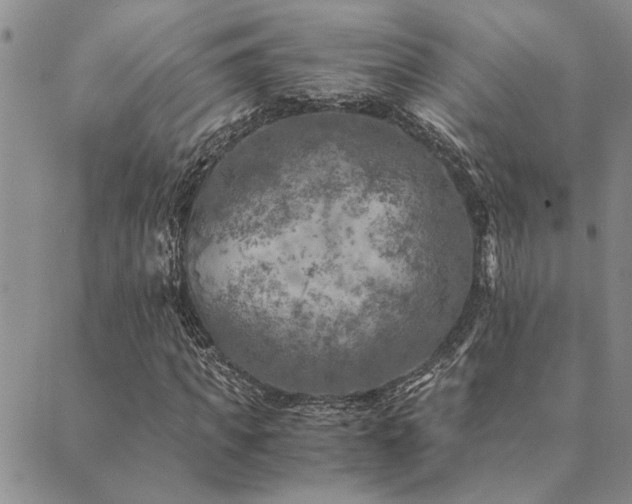 X0000089710917200706211339