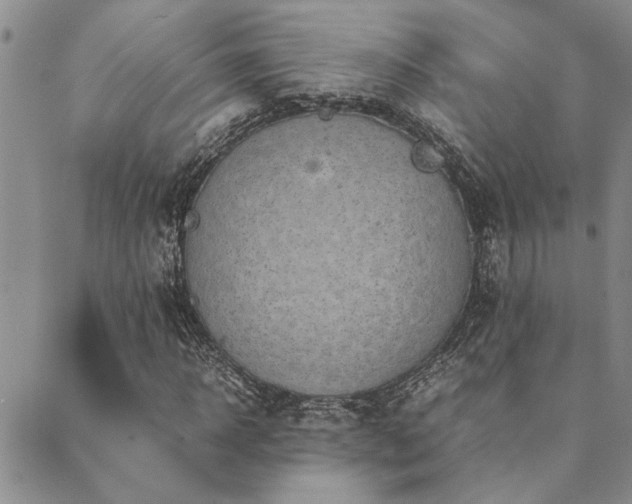 X0000089710918200706211339