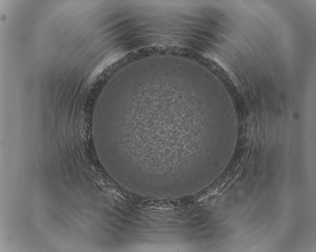 X0000089710919200706211339