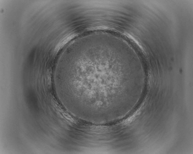 X0000089710921200706211339