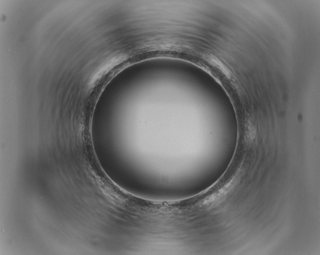 X0000089710922200706211339