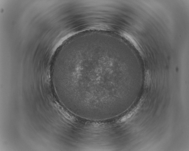 X0000089710923200706211339