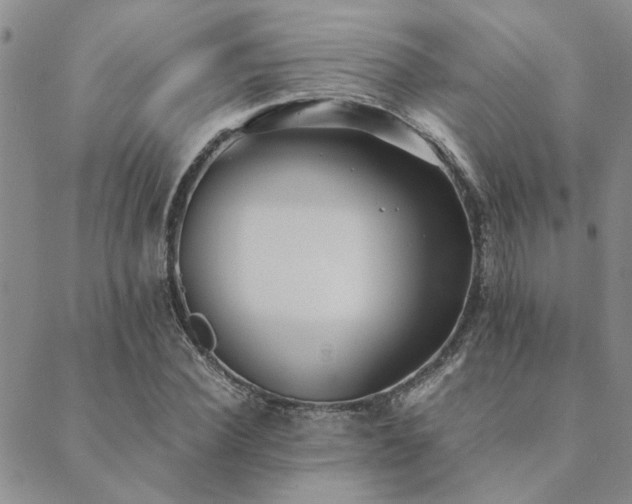 X0000089710924200706211339