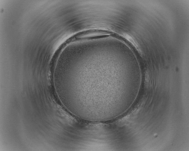 X0000089710926200706211339