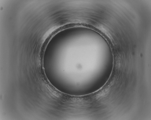 X0000089710927200706211339