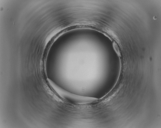 X0000089710928200706211339