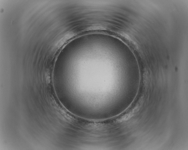 X0000089710929200706211339