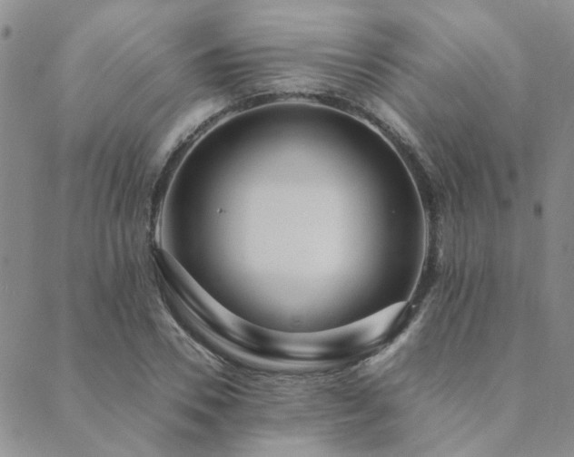 X0000089710930200706211339