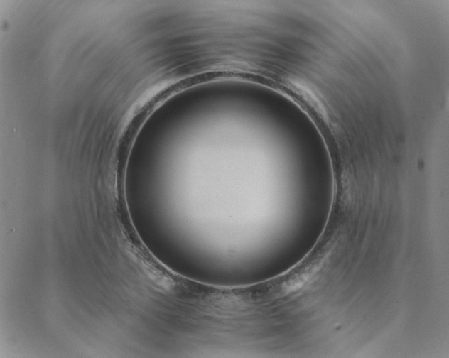 X0000089710931200706211339