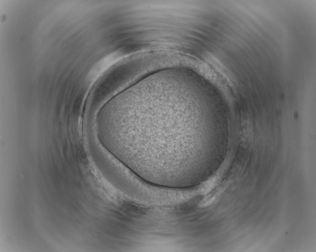 X0000089710932200706211339