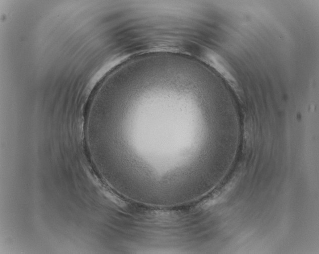 X0000089710933200706211339