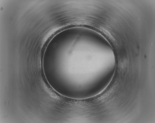 X0000089710934200706211339