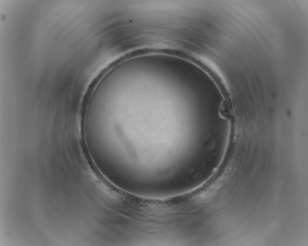 X0000089710935200706211339