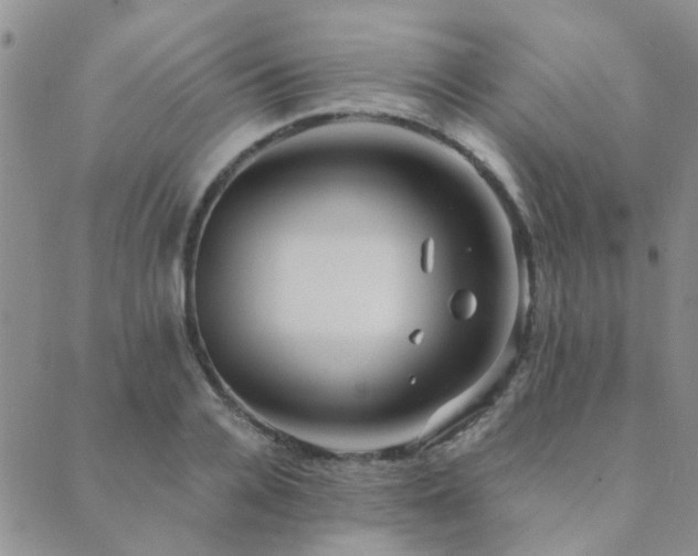 X0000089710936200706211339