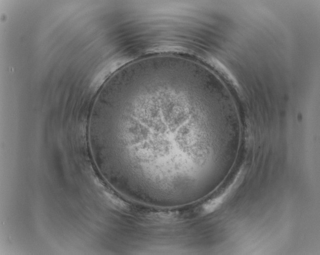 X0000089710937200706211339