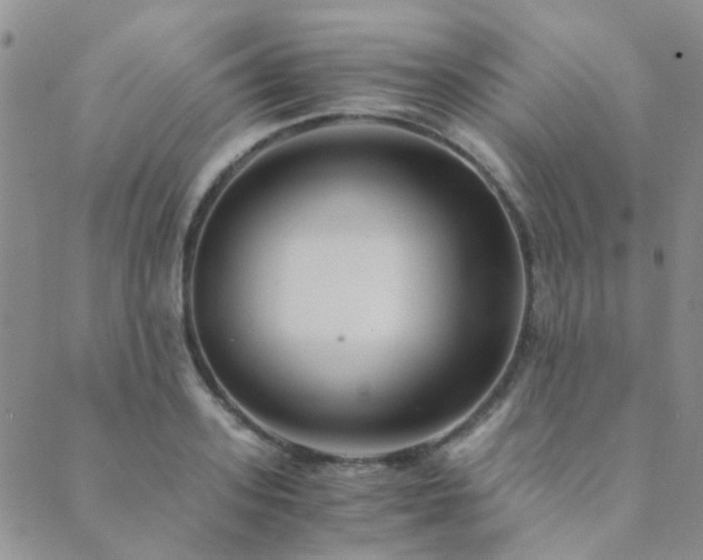 X0000089710939200706211340