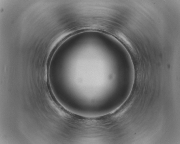 X0000089710940200706211340