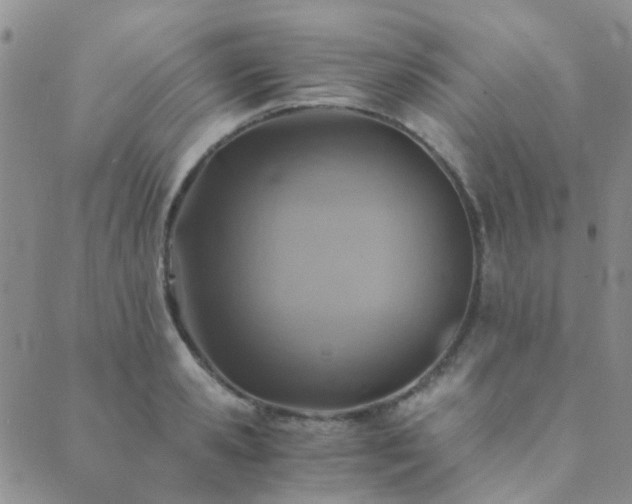 X0000089710941200706211340