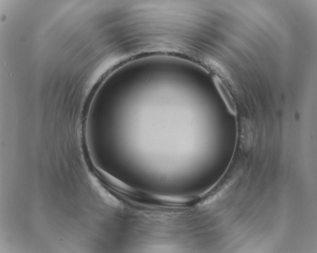 X0000089710942200706211340