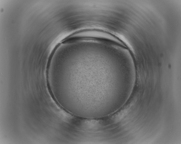 X0000089710943200706211340