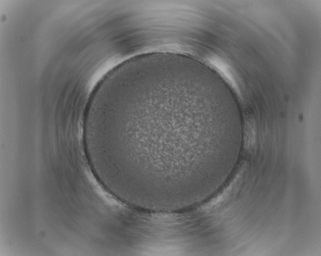 X0000089710944200706211340