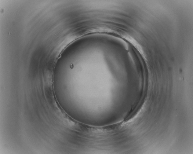 X0000089710945200706211340