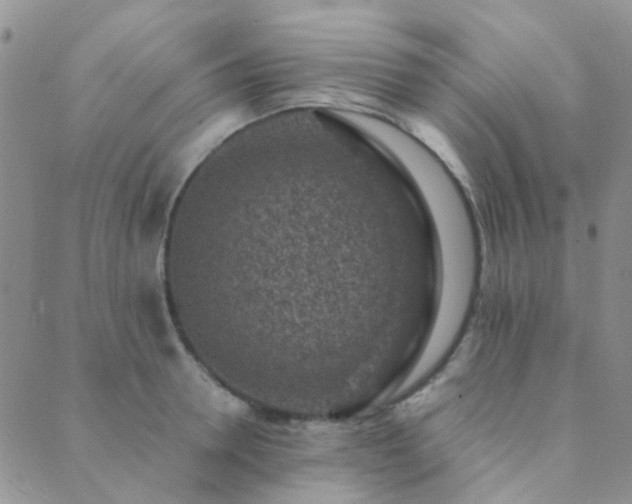 X0000089710946200706211340