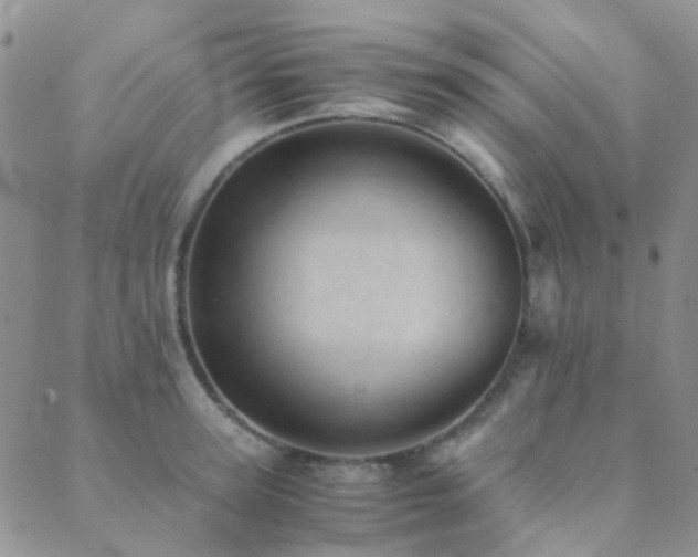 X0000089710947200706211340