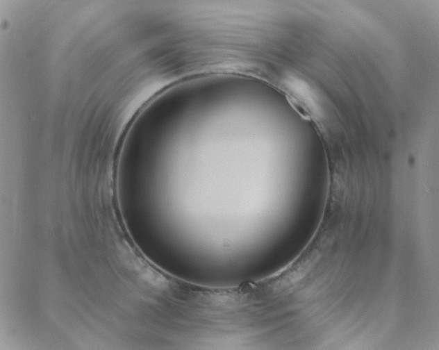 X0000089710948200706211340