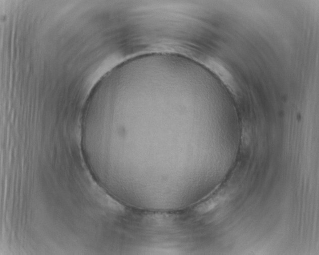 X0000089710950200706211340