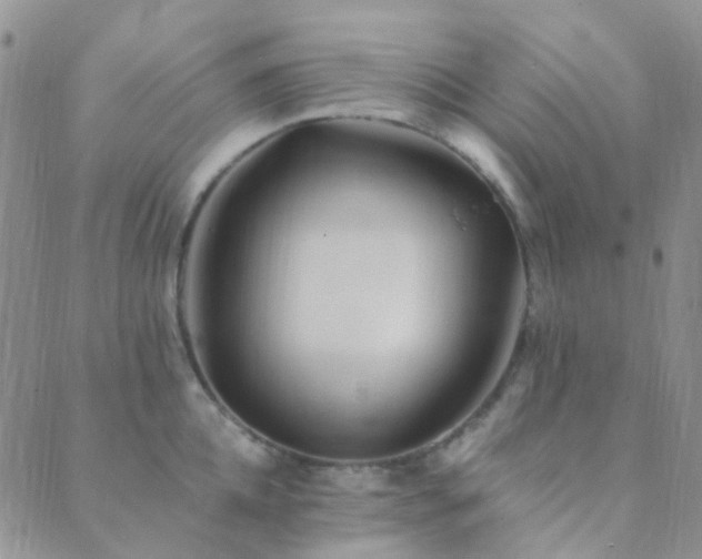 X0000089710952200706211340