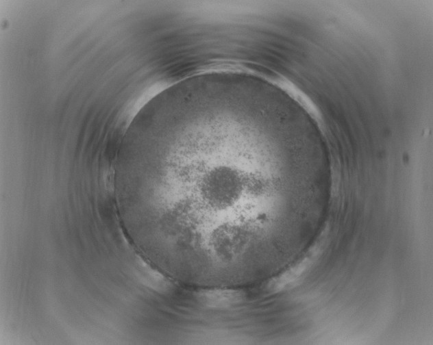 X0000089710953200706211340