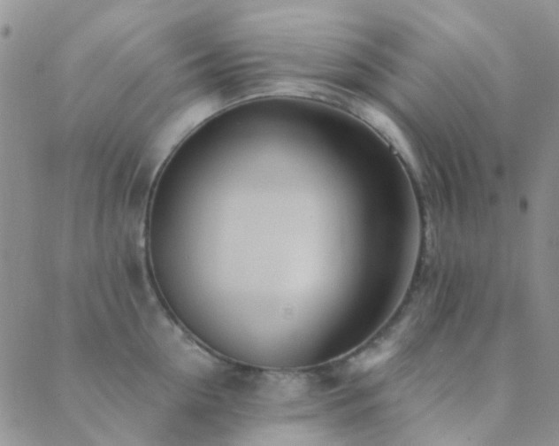 X0000089710954200706211340