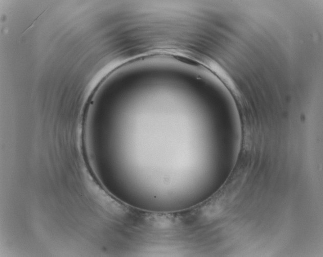 X0000089710955200706211340