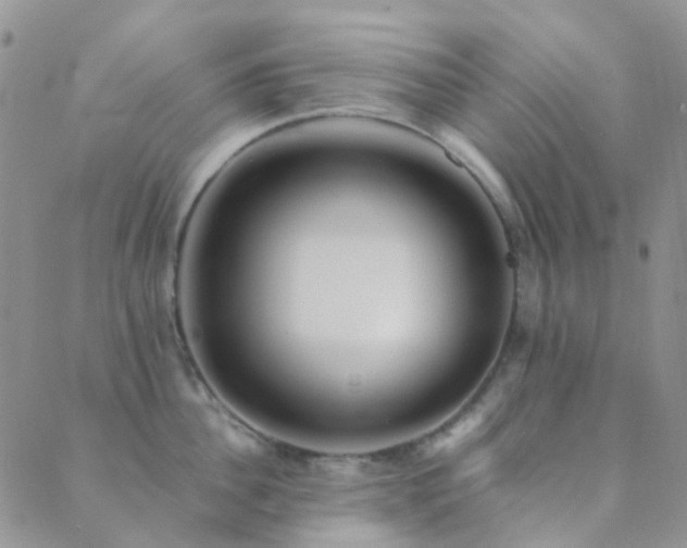 X0000089710956200706211340