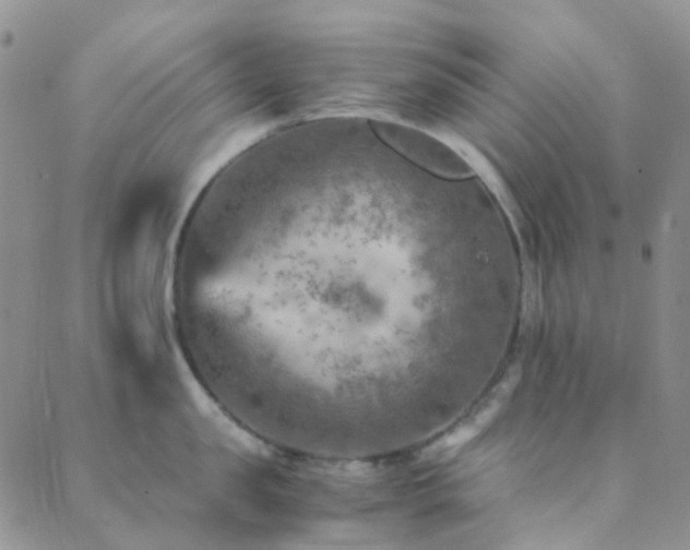 X0000089710957200706211340