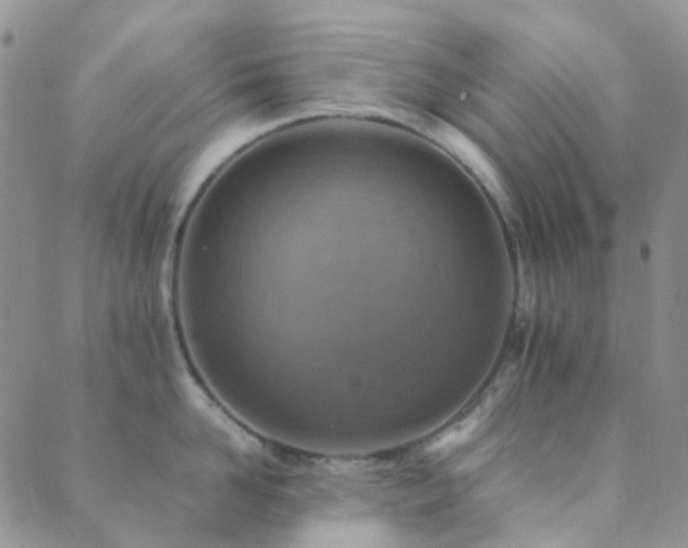 X0000089710958200706211340