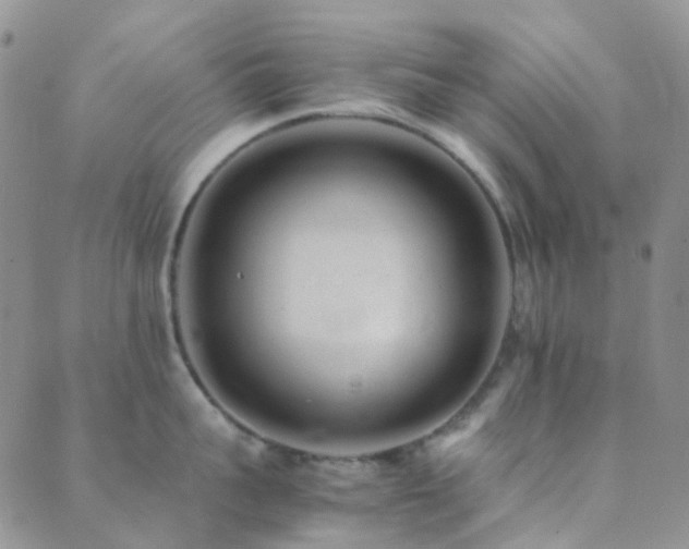 X0000089710959200706211340