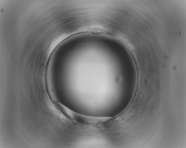 X0000089710960200706211340