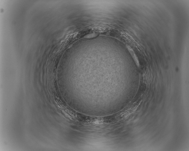 X0000089710961200706211339