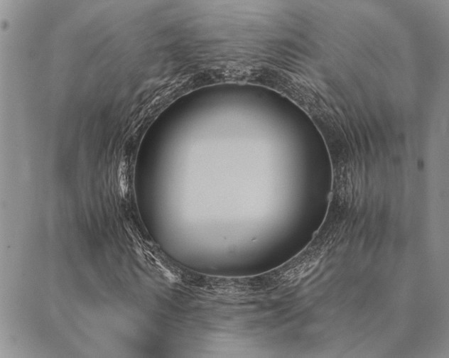 X0000089710962200706211339