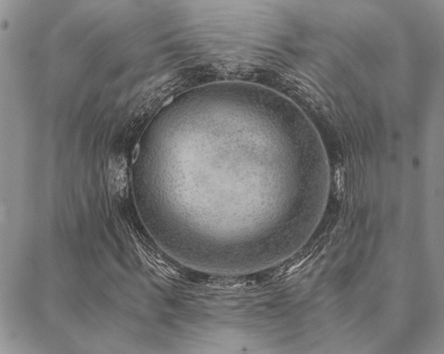 X0000089710963200706211339