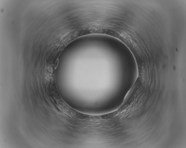 X0000089710964200706211339