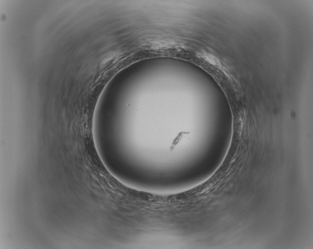 X0000089710965200706211339