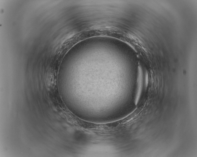 X0000089710966200706211339