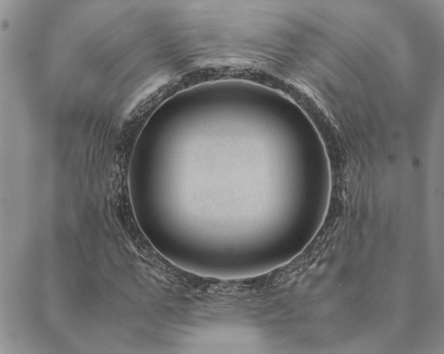 X0000089710967200706211339