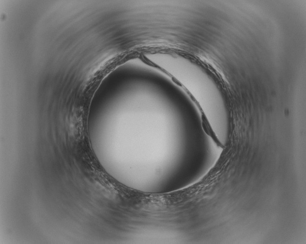 X0000089710968200706211339