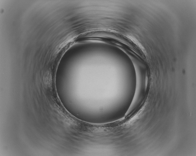 X0000089710969200706211339