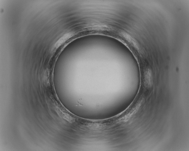 X0000089710970200706211339